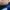 Adidas x PLR ART BB 1109 Navy blue photo 4