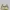 Luxury Casual Shoulder bag Wanita gold photo 3