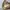 Luxury Casual Shoulder bag Wanita gold photo 4