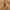 Carhartt Active Jacket J140 BRN photo 7