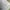 Proved Jersey Original Tottenham Hotspur Home 2019-2020 photo 4
