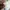 Proved Jersey Original Tottenham Hotspur Home 2019-2020 photo 3