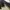 outer photo 2