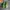 NIKE ZOOM X VAPORFLY NEXT% 2 photo 3