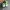 NIKE ZOOM X VAPORFLY NEXT% 2 photo 5