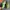 NIKE ZOOM X VAPORFLY NEXT% 2 photo 4
