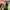 NIKE ZOOM X VAPORFLY NEXT% 2 photo 6
