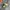 NIKE ZOOM X VAPORFLY NEXT%2 TIGER photo 1