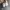 NIKE ZOOM X VAPORFLY NEXT%2 TIGER photo 4