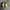 NIKE ZOOM X VAPORFLY NEXT%2 TIGER photo 3