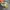 NIKE ZOOM X VAPORFLY NEXT%2 TIGER photo 2