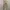 UNIQLO LONG PANTS CHINO 
