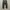 EDWIN LONG PANTS CHINO  photo 3