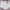 Neige Lace Bloomer Shorts  photo 1
