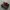 new balance 1906 photo 1