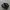 vans sk8 low contras photo 1
