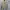 OUTER KIMONO BASIC RYUSEI photo 1