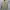 OUTER KIMONO BASIC RYUSEI