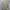 OUTER KIMONO BASIC RYUSEI photo 2