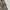 Archon utility cargo pants photo 5