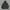 PANCOAT HOODIE photo 1