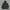 PANCOAT HOODIE