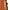BFL Technical Outdoor Vest Men's photo 3