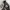 Ugiz cargo pants photo 7