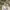 Wide Cut Balloon Pants GLW beige photo 7