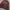 Gorpcore Casual Puffer jacket Pria brown photo 5