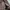 Gorpcore Casual Puffer jacket Pria brown photo 7