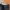 Polham Casual Formal pants Pria navy photo 4