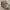 Nike Luxury Minimalist Wanita white tan photo 3