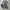 Dorothy Perkins Vintage Dress photo 1
