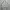 VALENTINO HAND BAG WHITE photo 4