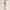 LuluLemon Align High Rise Pant Legging photo 1