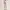 LuluLemon Align High Rise Pant Legging