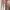 LuluLemon Align High Rise Pant Legging photo 4