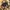 Salomon “XT-6  GTX Full Black” photo 1