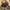 Salomon “XT-6  GTX Full Black” photo 2