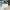 Tory Burch Britten Micro Satchel White photo 3