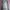 Luxury Sweater Wanita gray photo 3