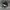 Stussy Vintage Streetwear Hat Pria black photo 6