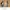 LEFT Oversize BOXY jaket kulit merah domba premium photo 5