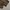 Time & Tru Pattern leopard Chino 5 Pocket longpants, Big Siz photo 8