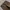 Time & Tru Pattern leopard Chino 5 Pocket longpants, Big Siz photo 7