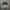 Spao Casual Sweater Pria multicolor photo 1
