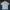 Nike Vintage Sportswear T-shirt Pria Gray