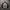 Badboy Streetwear Sweater Pria tan brown photo 7