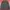 Fila crewneck Big Logo photo 2